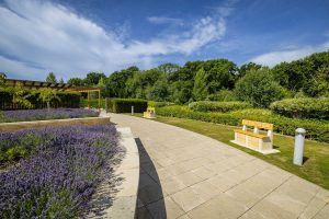 The Oaks lavender and memorial benches